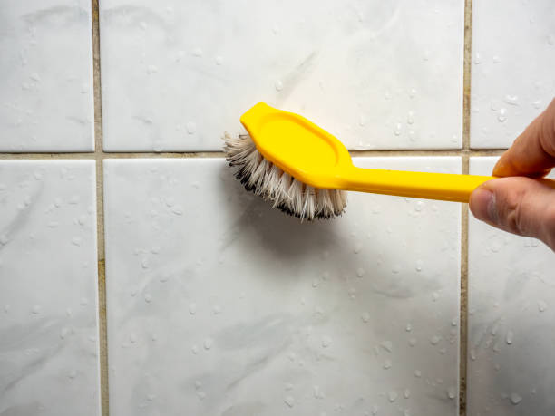 Best Certified Mold Removal  in Cloverdale, CA