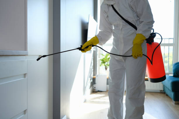 Best Attic Mold Removal  in Cloverdale, CA