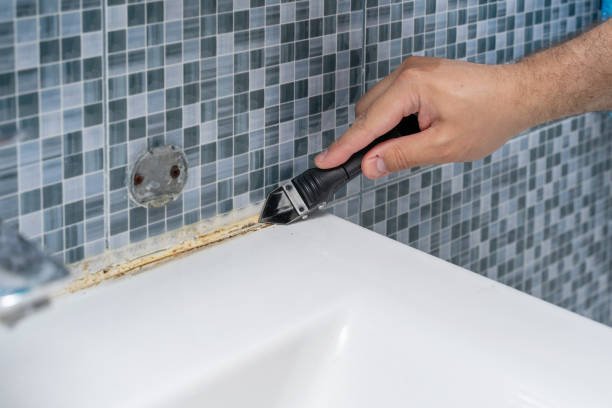 Best Local Mold Removal Service  in Cloverdale, CA