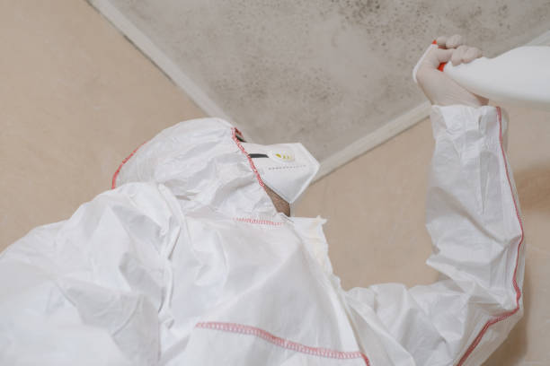 Best Professional Mold Removal  in Cloverdale, CA