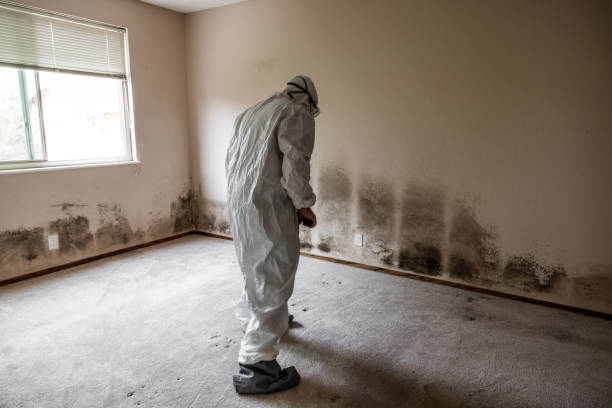 Water Damage Restoration in Cloverdale, CA