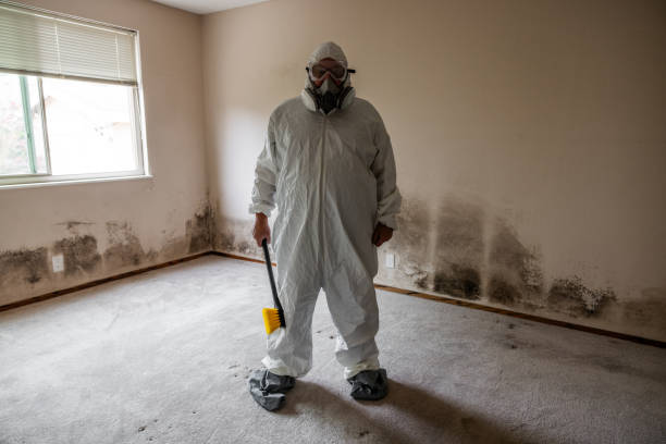 Best Local Mold Removal Service  in Cloverdale, CA