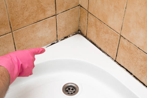 Best Mold Testing  in Cloverdale, CA